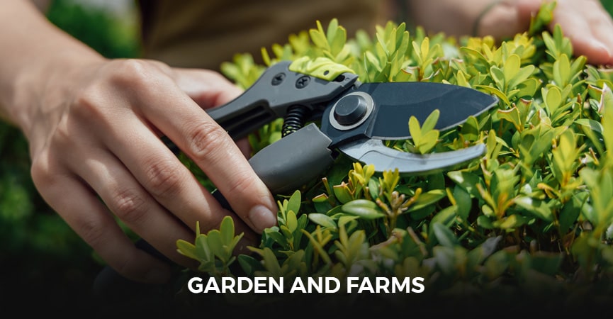 Garden and Farms